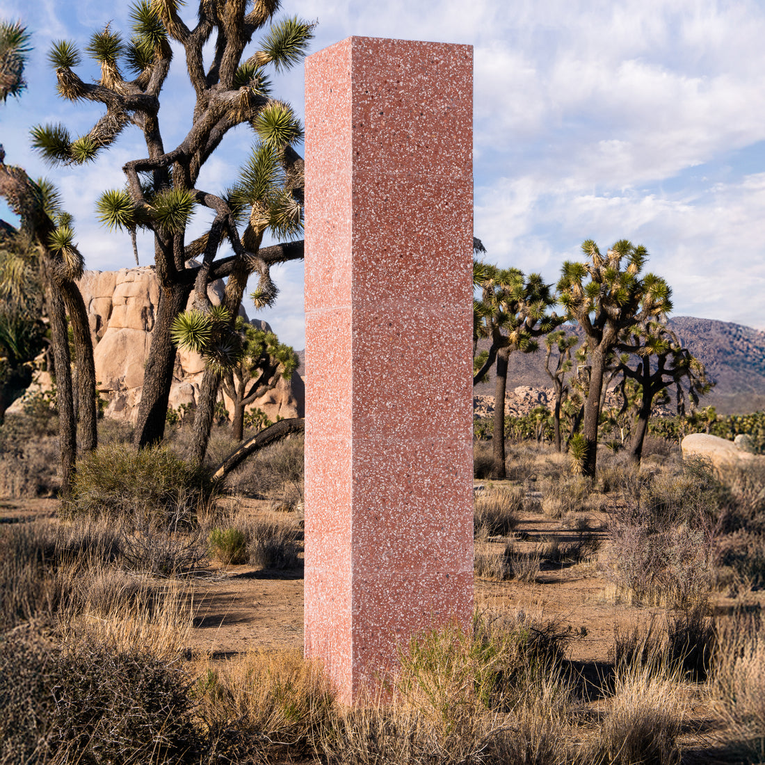 The Indio 24x24 by Zia Tile is a tall, rectangular pink tile that stands out like a monolith in a dry desert landscape with Joshua trees, rocks, shrubs, and mountains under a partly cloudy sky.