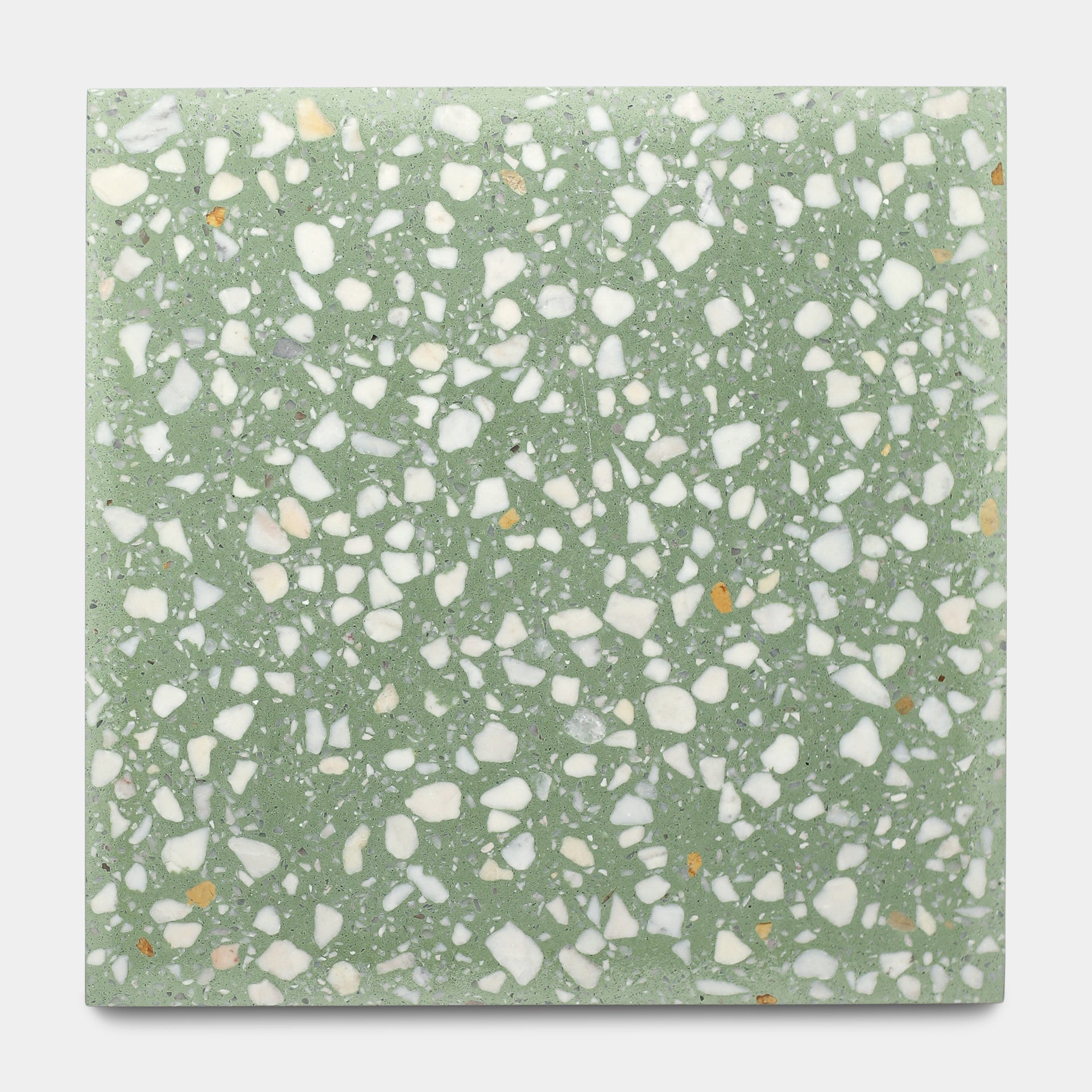 Mesquite 12x12 Terrazzo