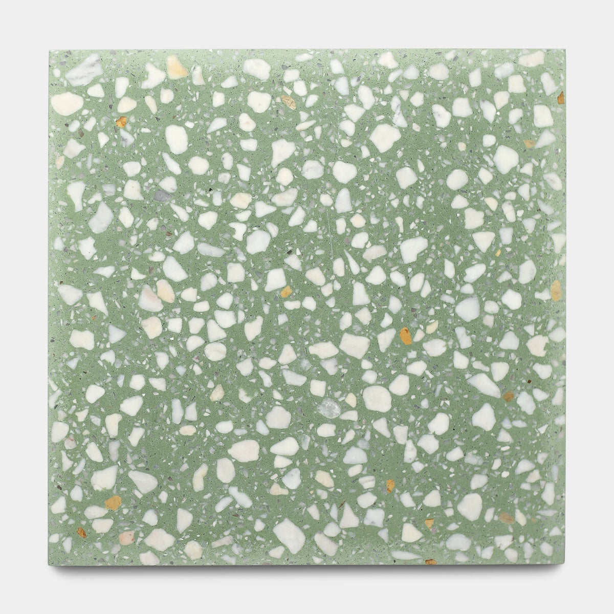 Mesquite 12x12 Terrazzo