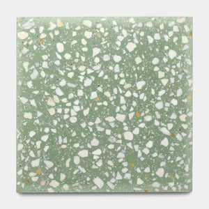 Mesquite 12x12 Terrazzo