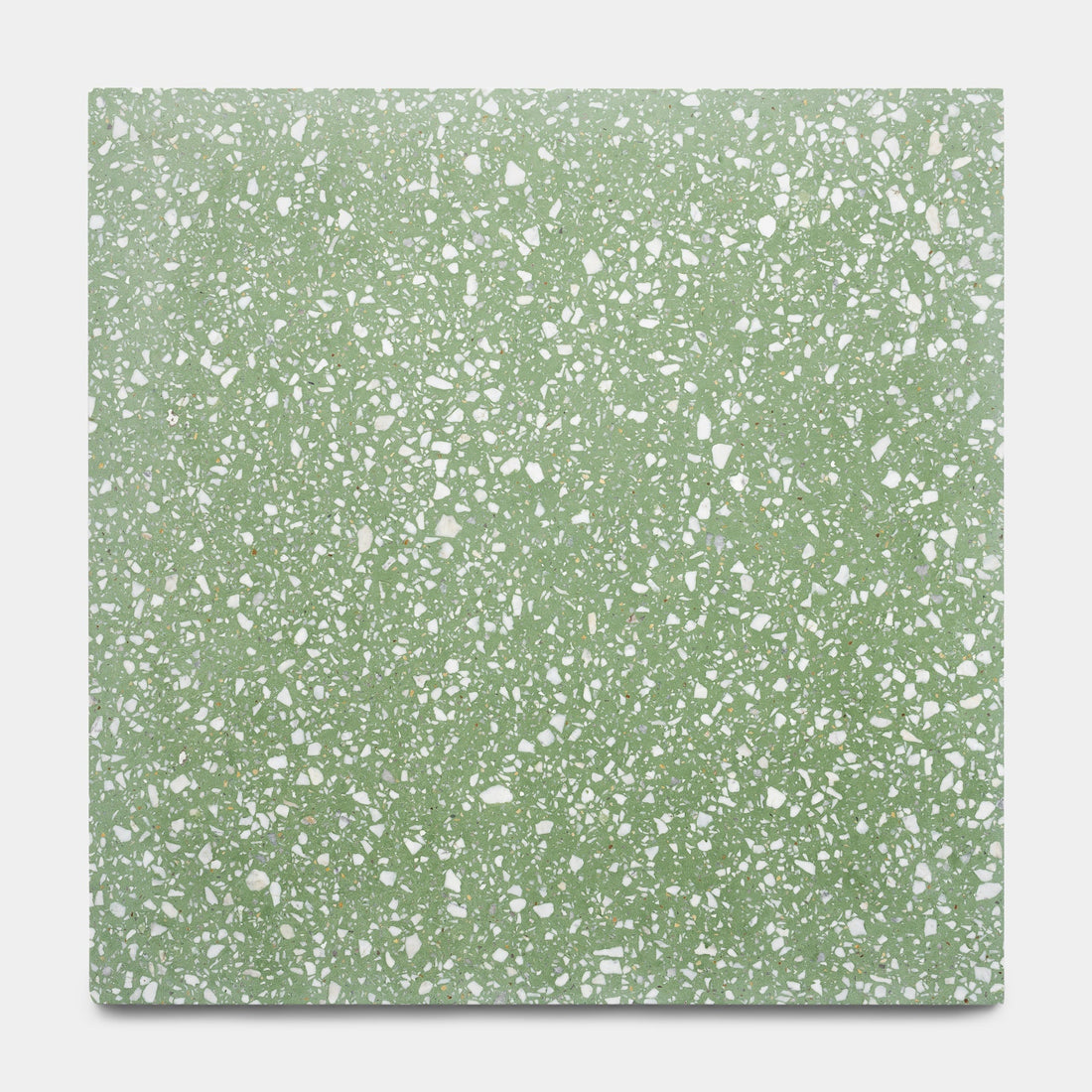 Mesquite 24x24 Terrazzo