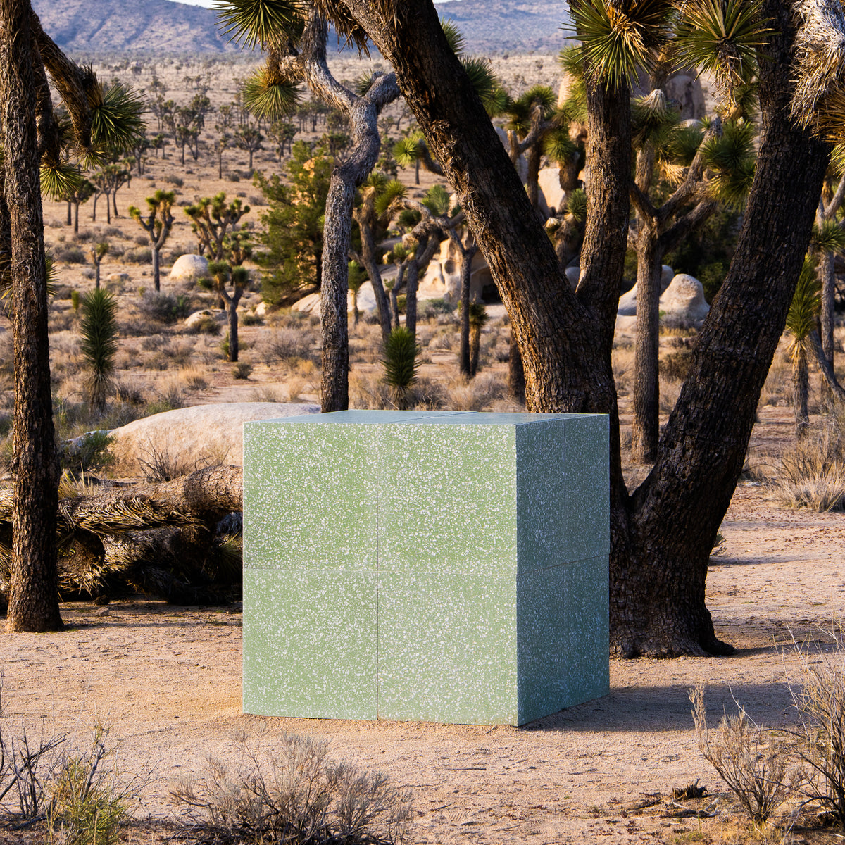 The Mesquite 24x24 tile from Zia Tile, a large light green speckled square, rests on sandy ground among Joshua trees and dry grasses in the desert, with rocky hills visible under a clear sky.