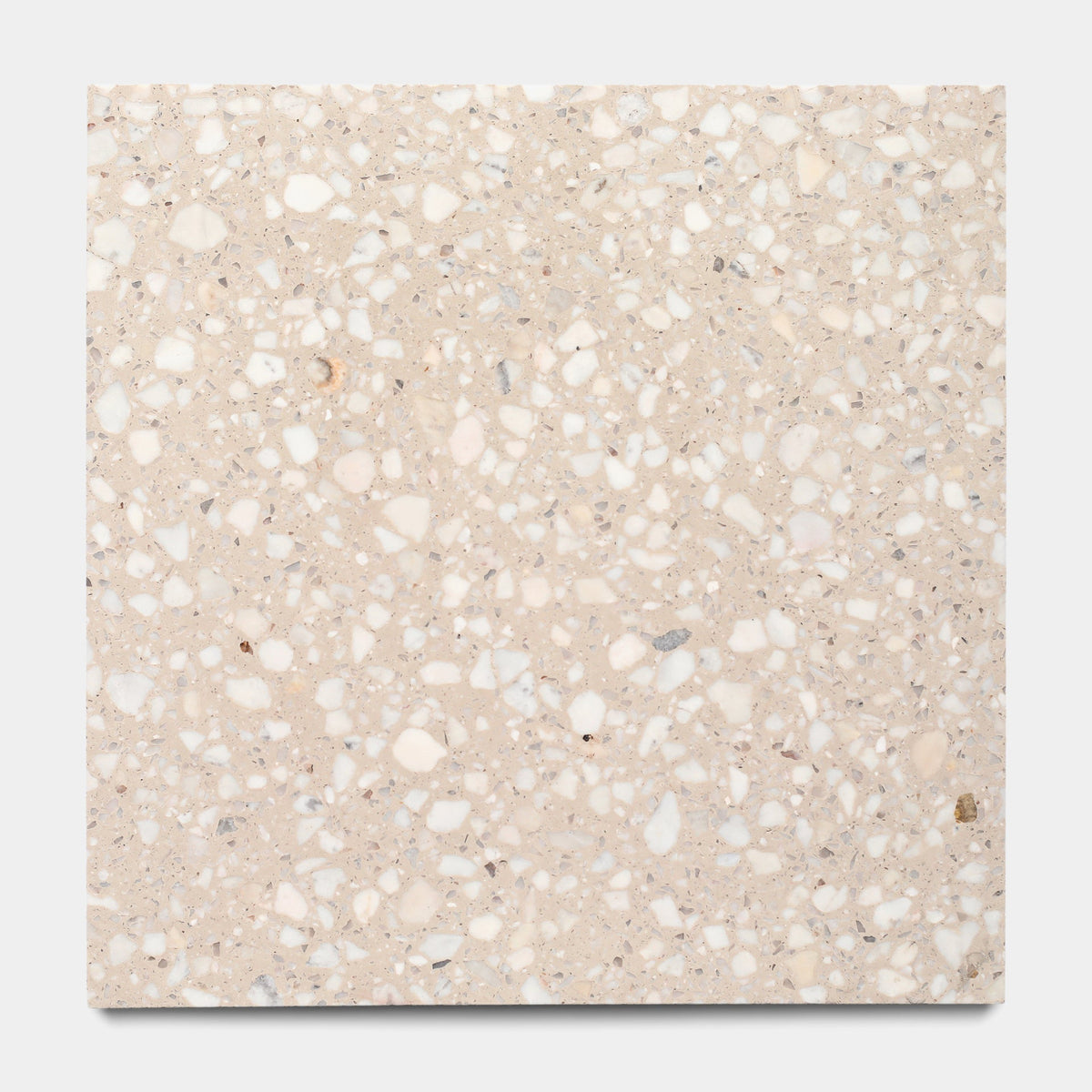 Mirage 12x12 Terrazzo