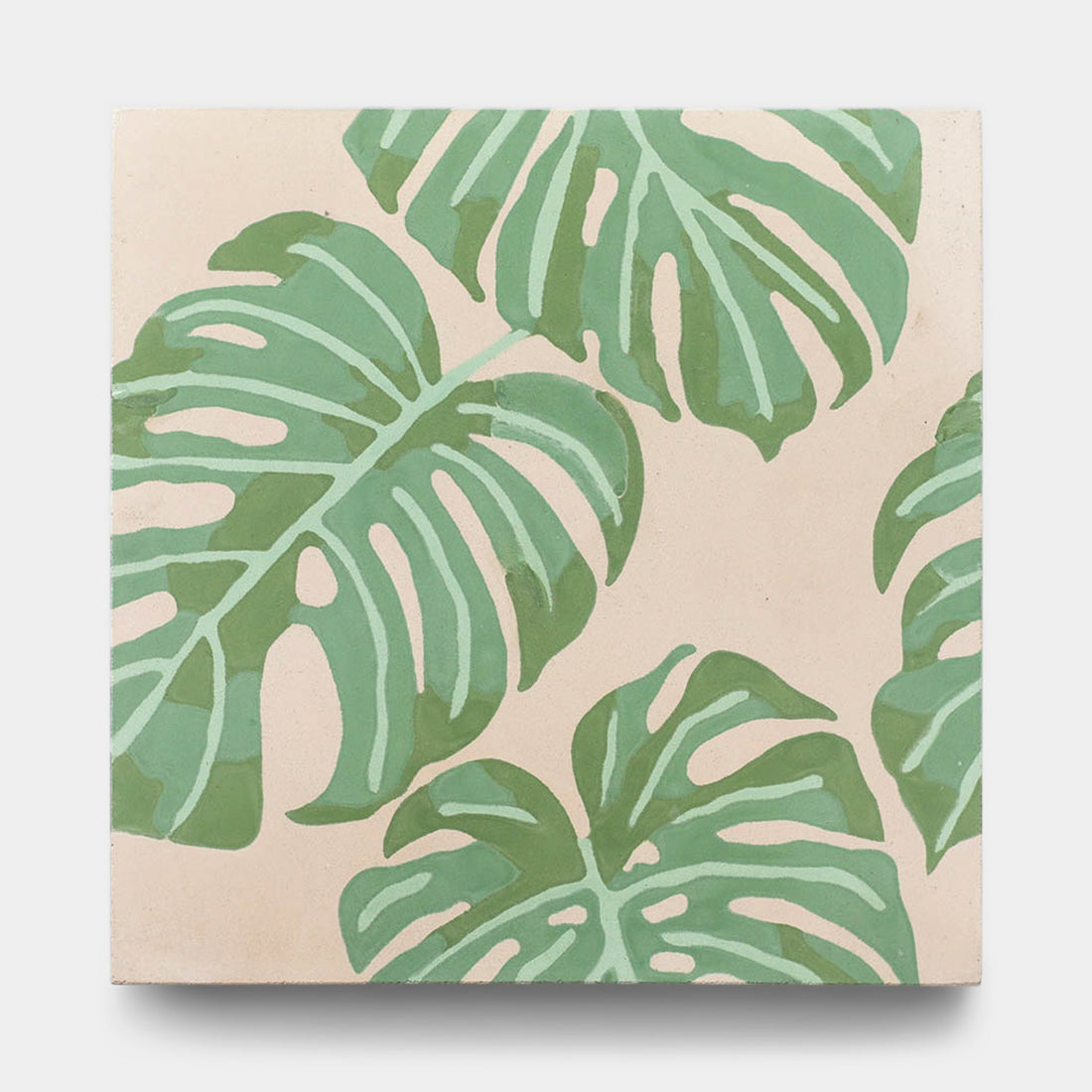 Monstera 8x8