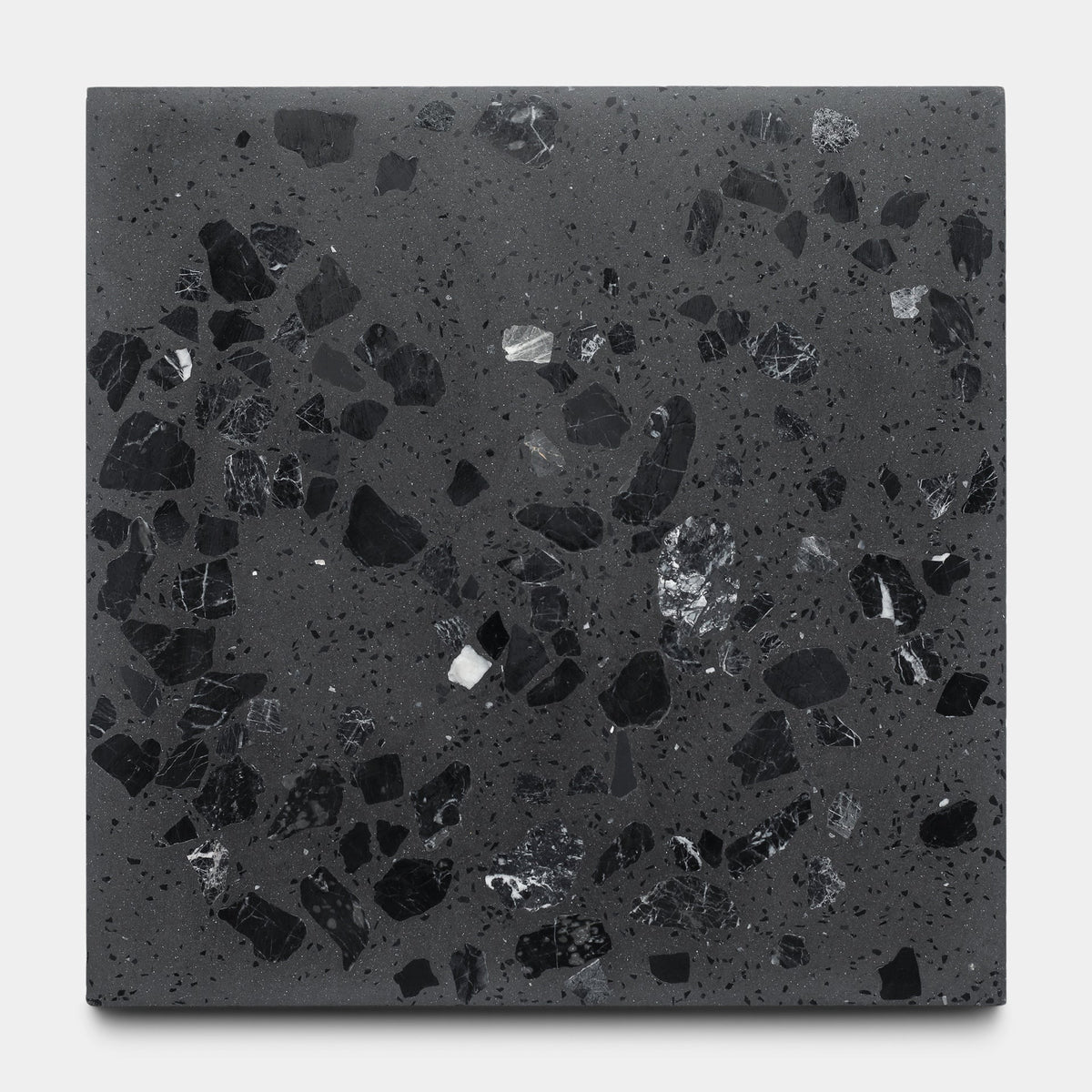 Moon Rock 12x12 Terrazzo