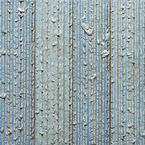 Morning Light + Furrowed