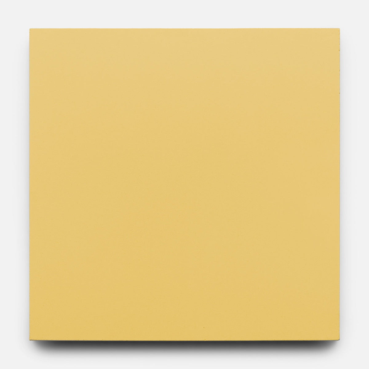 Mustard 8x8