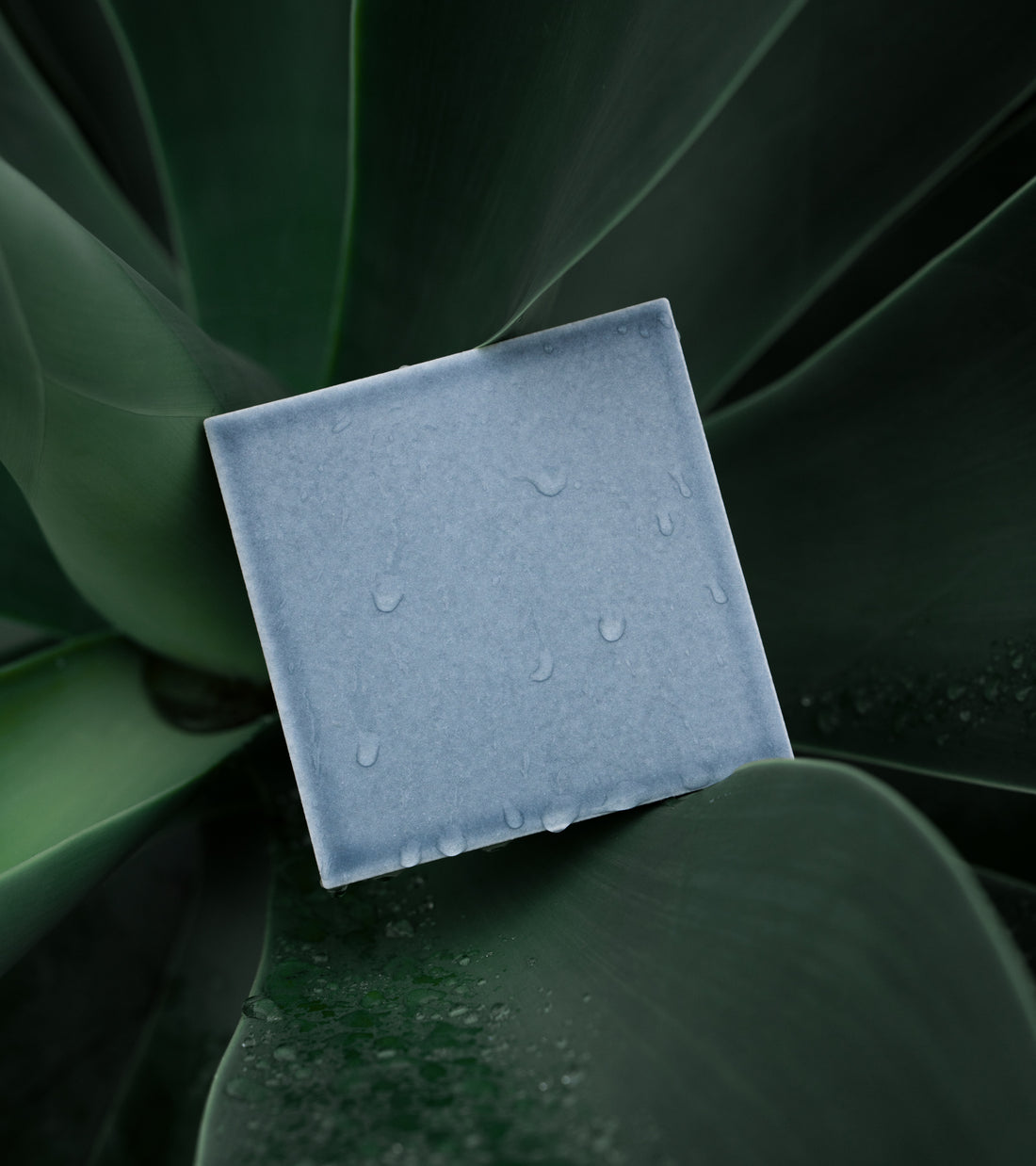 The Mystic 4x4 soap bar by Zia Tile, in light blue, sits atop broad dark green plant leaves with water droplets, creating a natural and fresh setting.