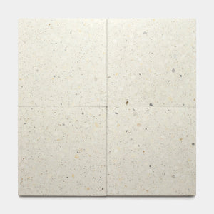 Neutra 12x12 Terrazzo