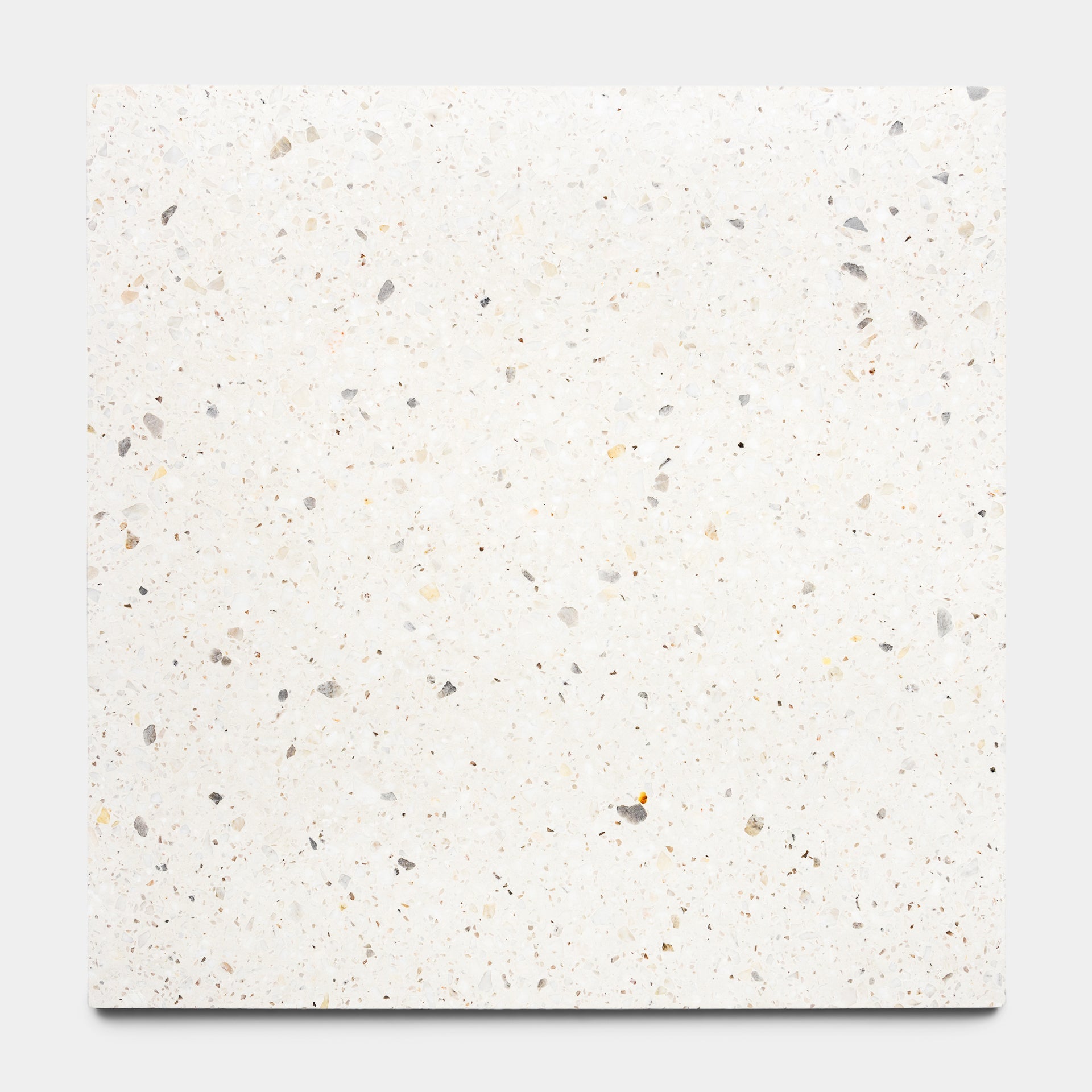 Neutra 24x24 Terrazzo