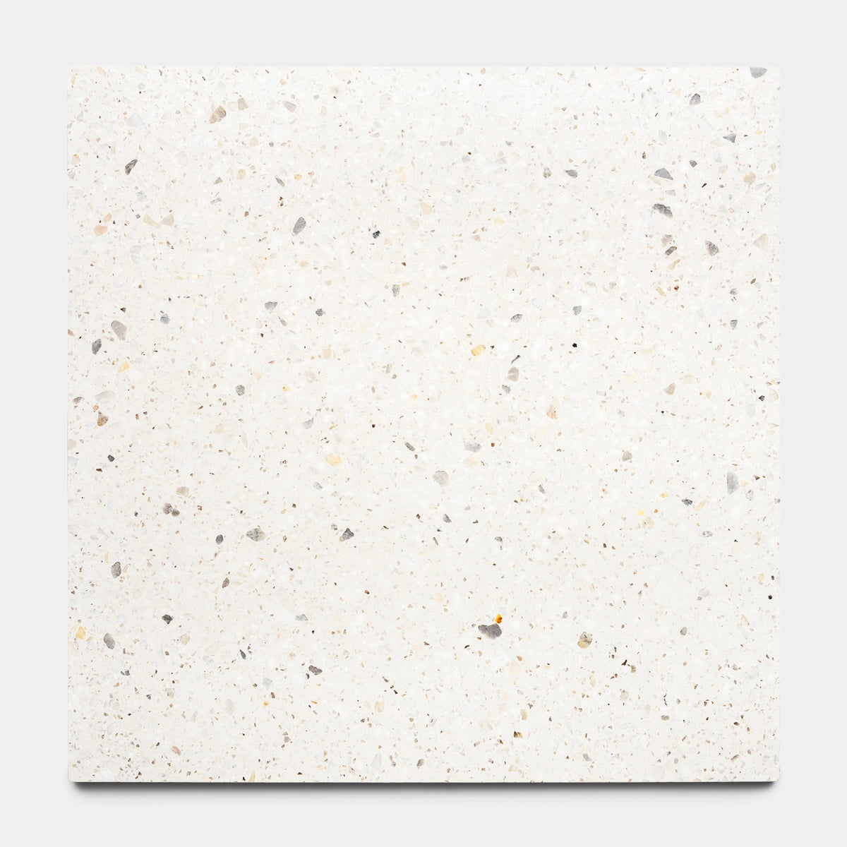 Neutra 24x24 Terrazzo