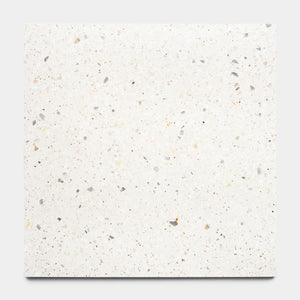 Neutra 24x24 Terrazzo
