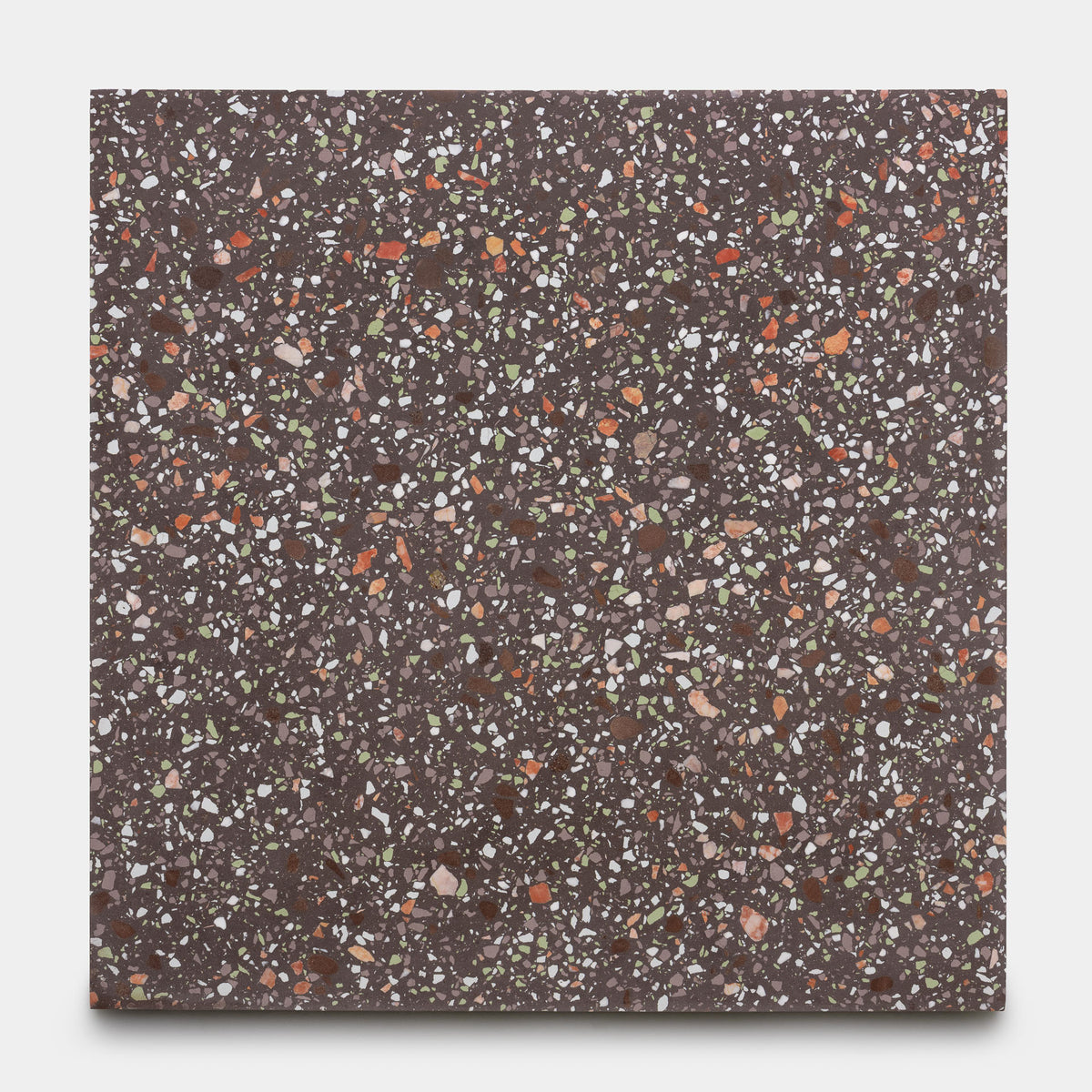 Nocino 24x24