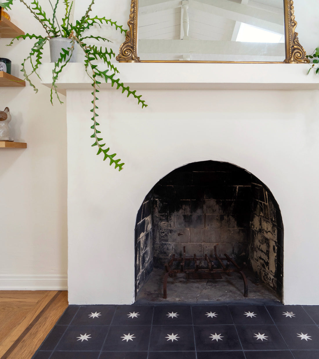 A white fireplace with a blackened interior, gold-framed mirror above, and green trailing plant on the mantel features a hearth tiled in Nova Black 8x8 by vendor-unknown. Wooden floor and shelves are partially visible.