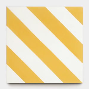 Ocotillo Cadmium 8x8