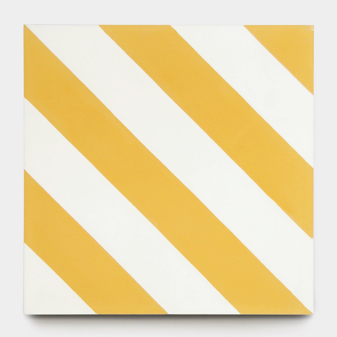 Ocotillo Cadmium 8x8