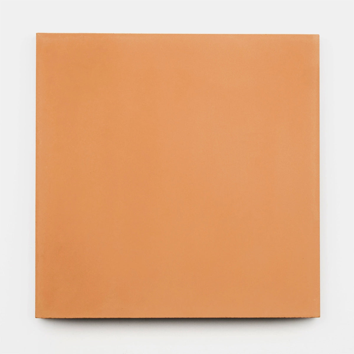 A square, flat Petra 8x8 tile sample by vendor-unknown features a smooth, solid terracotta-orange surface and is displayed against a plain white background.