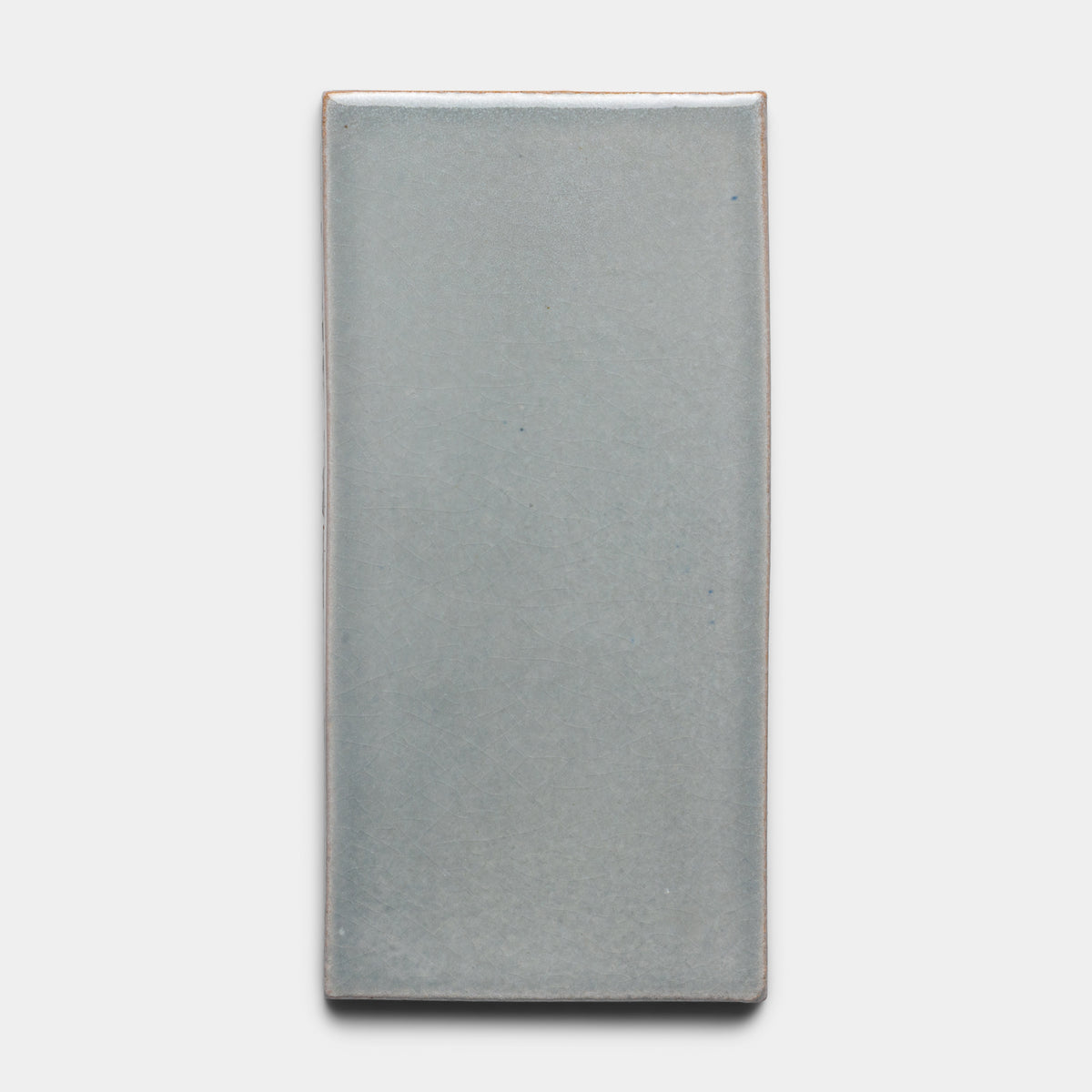A single Roca 4x8 Rectangle tile by Zia Tile, featuring a light gray, smooth, slightly glossy ceramic surface, set against a plain white background.