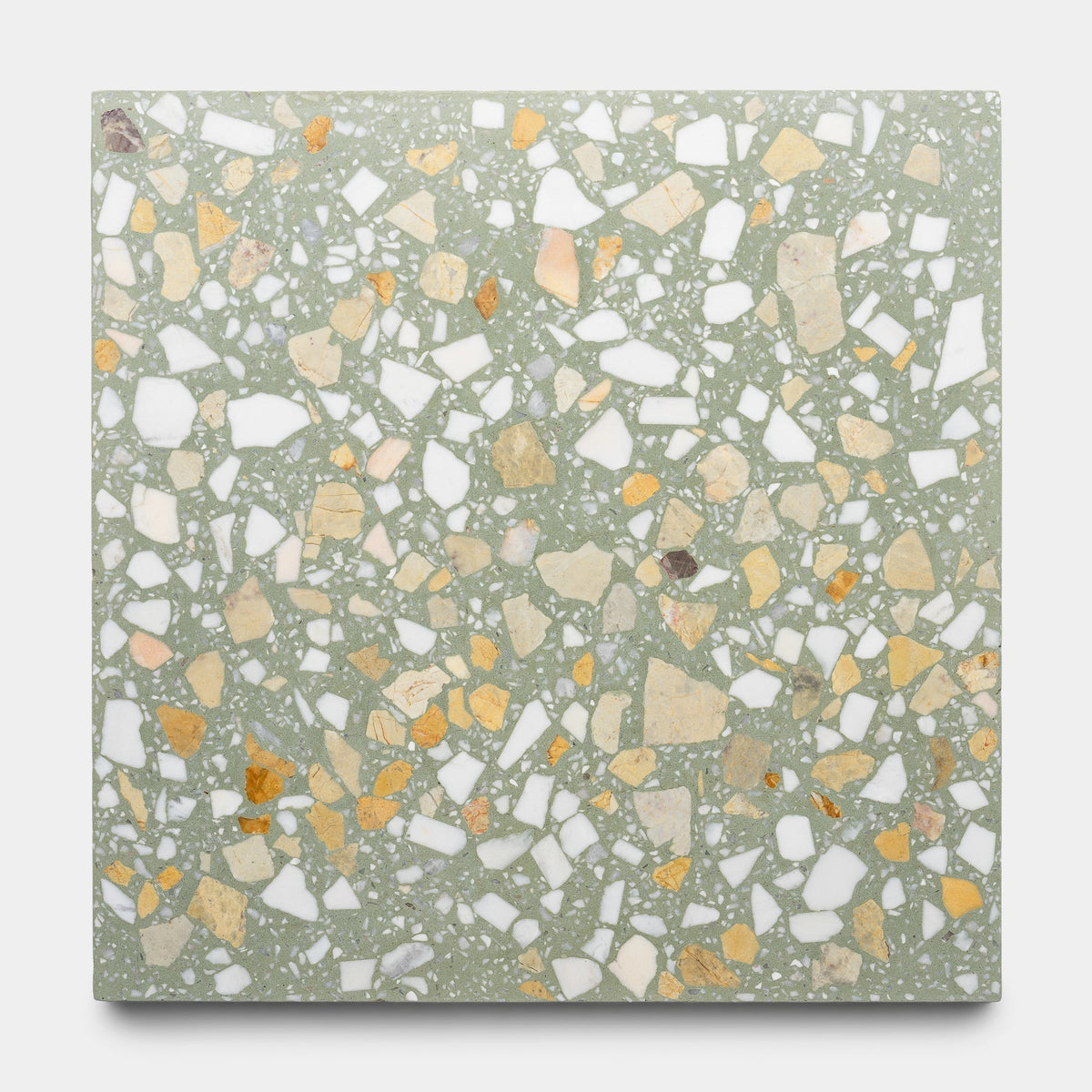 Salt Bush 12x12 Terrazzo