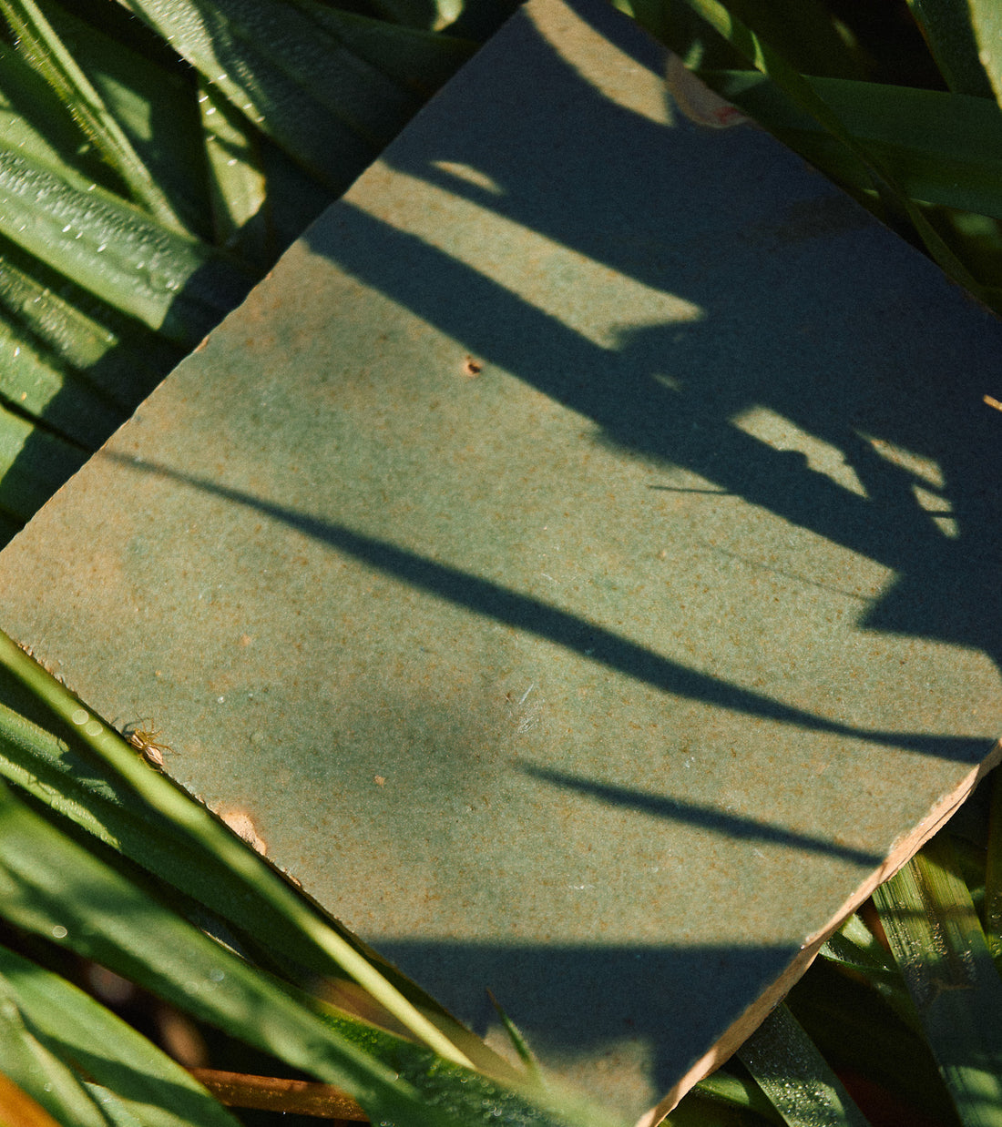 The Savanna 4x4 tile by Zia Tile, a square green tile, sits atop green leaves with sunlight casting leaf shadows across its surface.