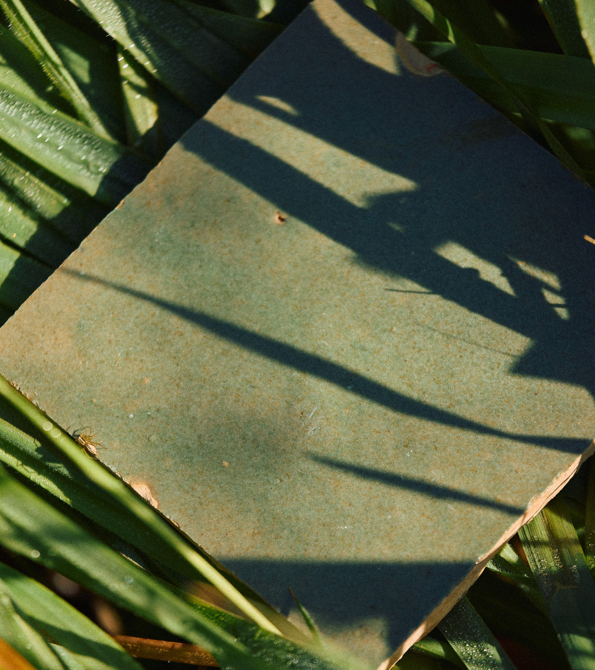 The Savanna 4x4 tile by Zia Tile, a square green tile, sits atop green leaves with sunlight casting leaf shadows across its surface.