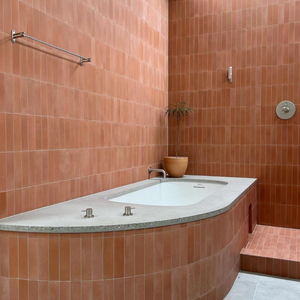 A modern bathroom features Terra Cotta 2x8 subway tiles, a built-in white bathtub with silver fixtures, a step with a showerhead, a towel rail, and a potted plant on the ledge.