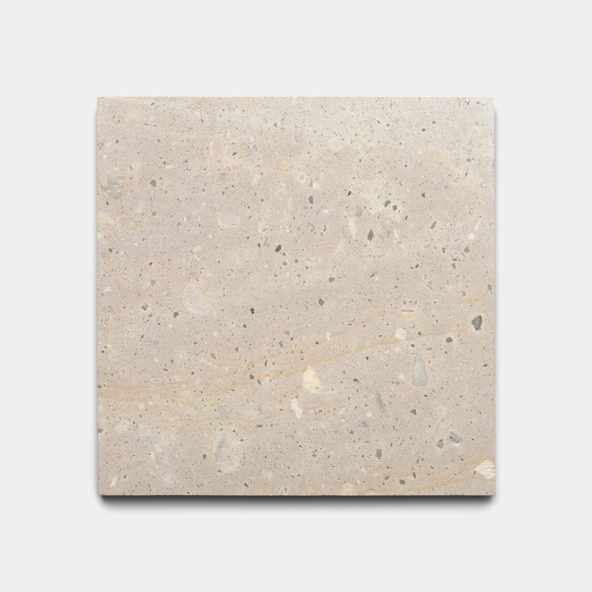 The Sierra 6x6 Sample by Zia Tile is a rectangular beige terrazzo tile with light brown, gray, and cream speckles on a white background.
