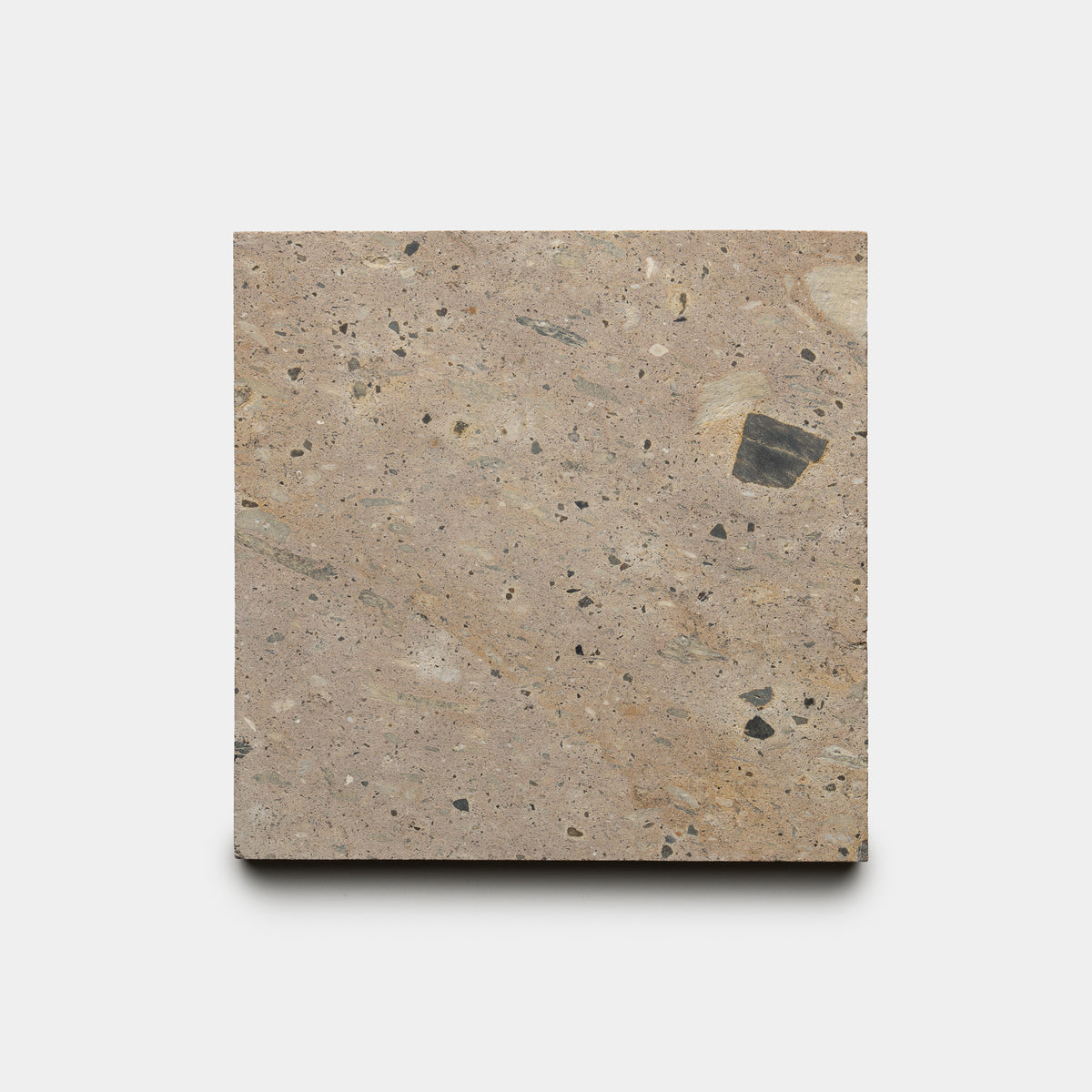 The Sierra 6x6 by Zia Tile features a beige and light brown speckled surface with scattered dark and light patches, resembling natural stone. The square tile is shown against a plain white background.