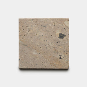 The Sierra 6x6 by Zia Tile features a beige and light brown speckled surface with scattered dark and light patches, resembling natural stone. The square tile is shown against a plain white background.