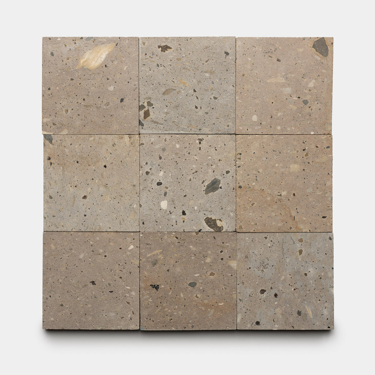 The Sierra 6x6 by Zia Tile features nine square tiles in a 3x3 layout, each showcasing a natural beige and brown speckled texture with mineral flecks and subtle color variations.