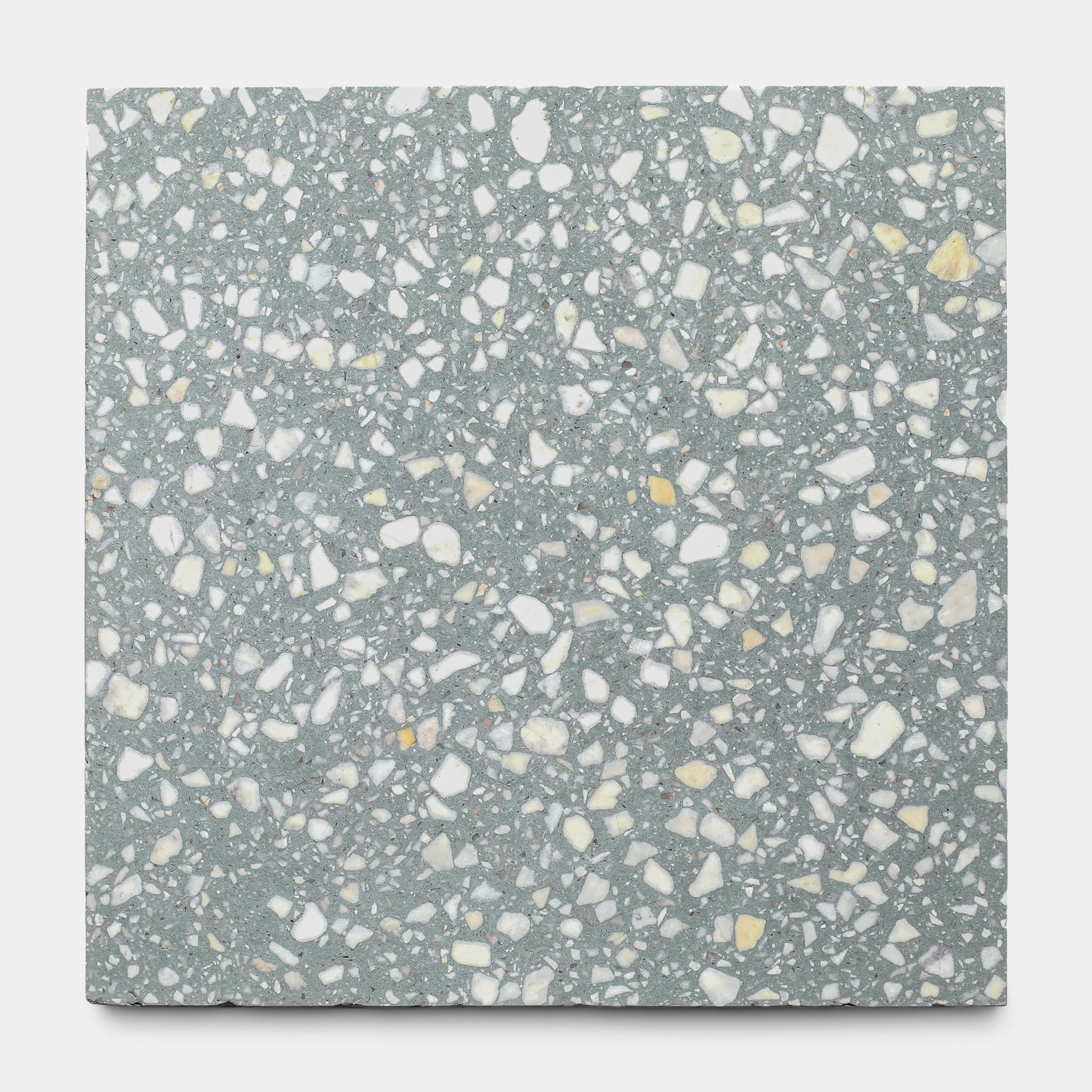 Smoketree 12x12 Terrazzo