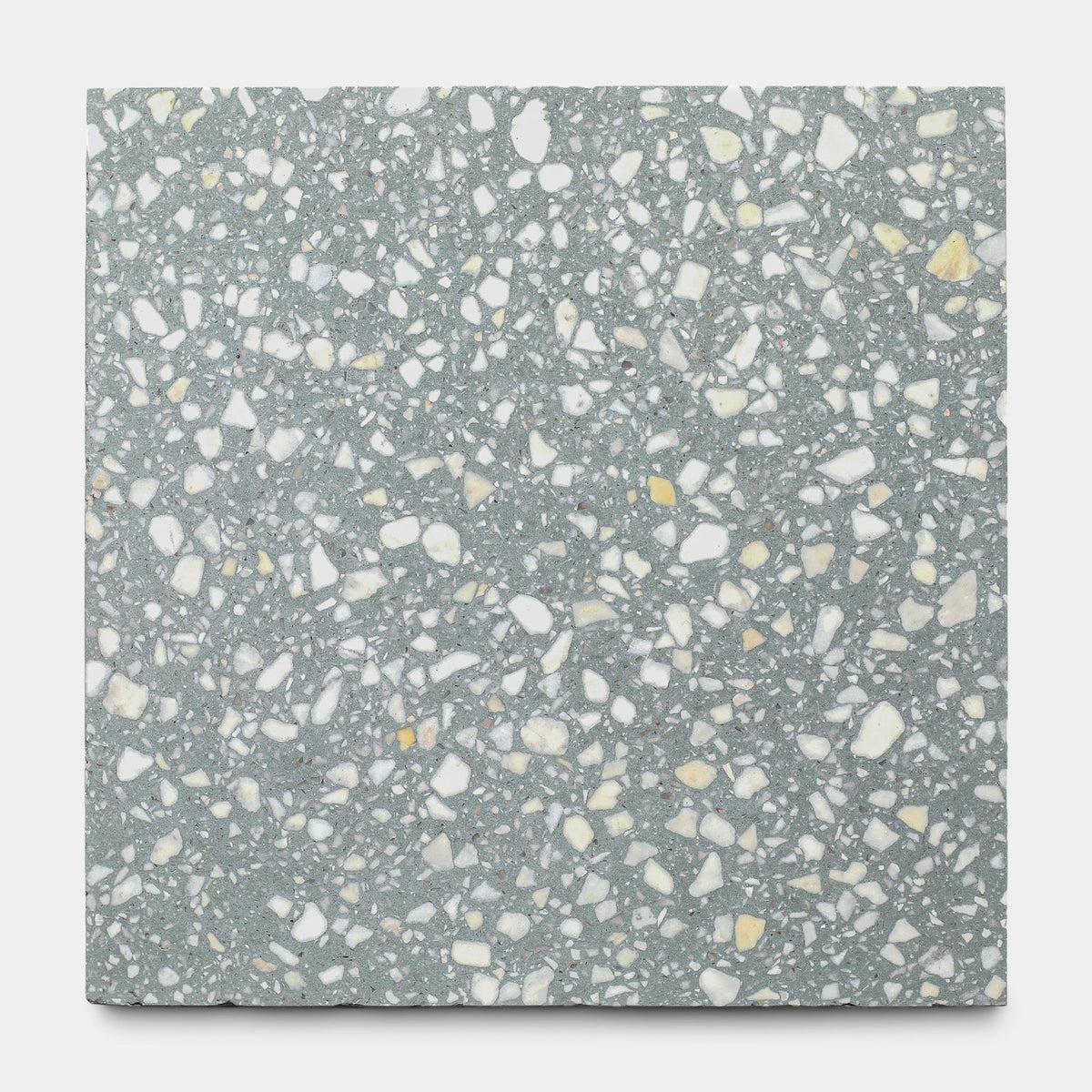 Smoketree 12x12 Terrazzo