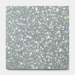 Smoketree 12x12 Terrazzo