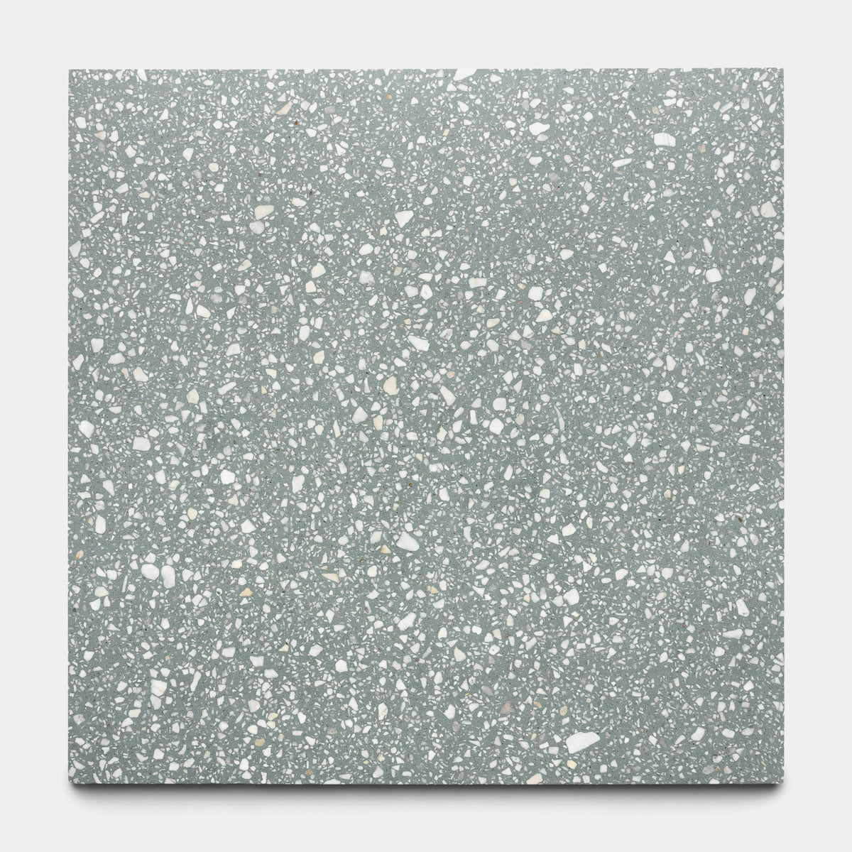 Smoketree 24x24 Terrazzo