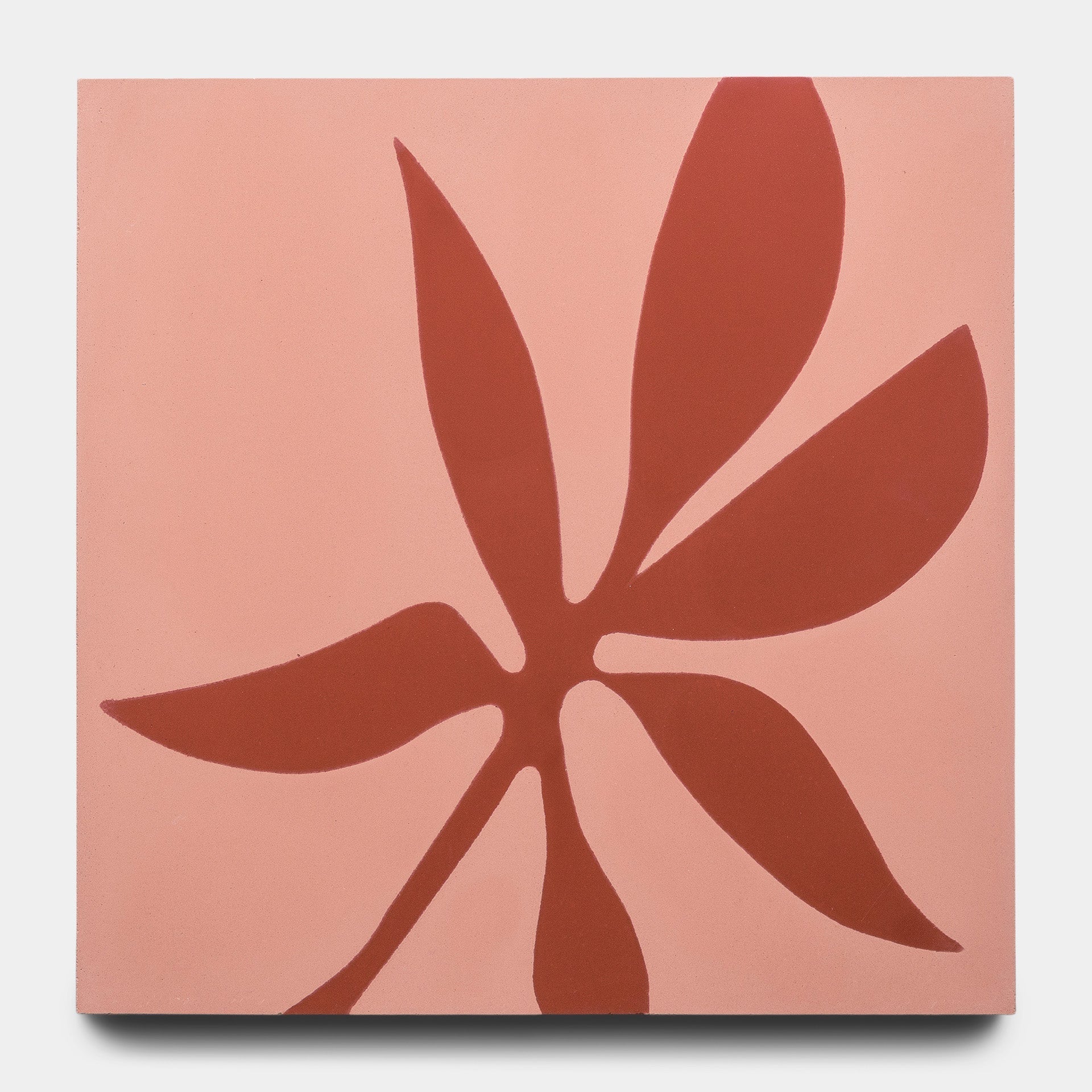 Flora 8x8 Set Sonora + Pompeii