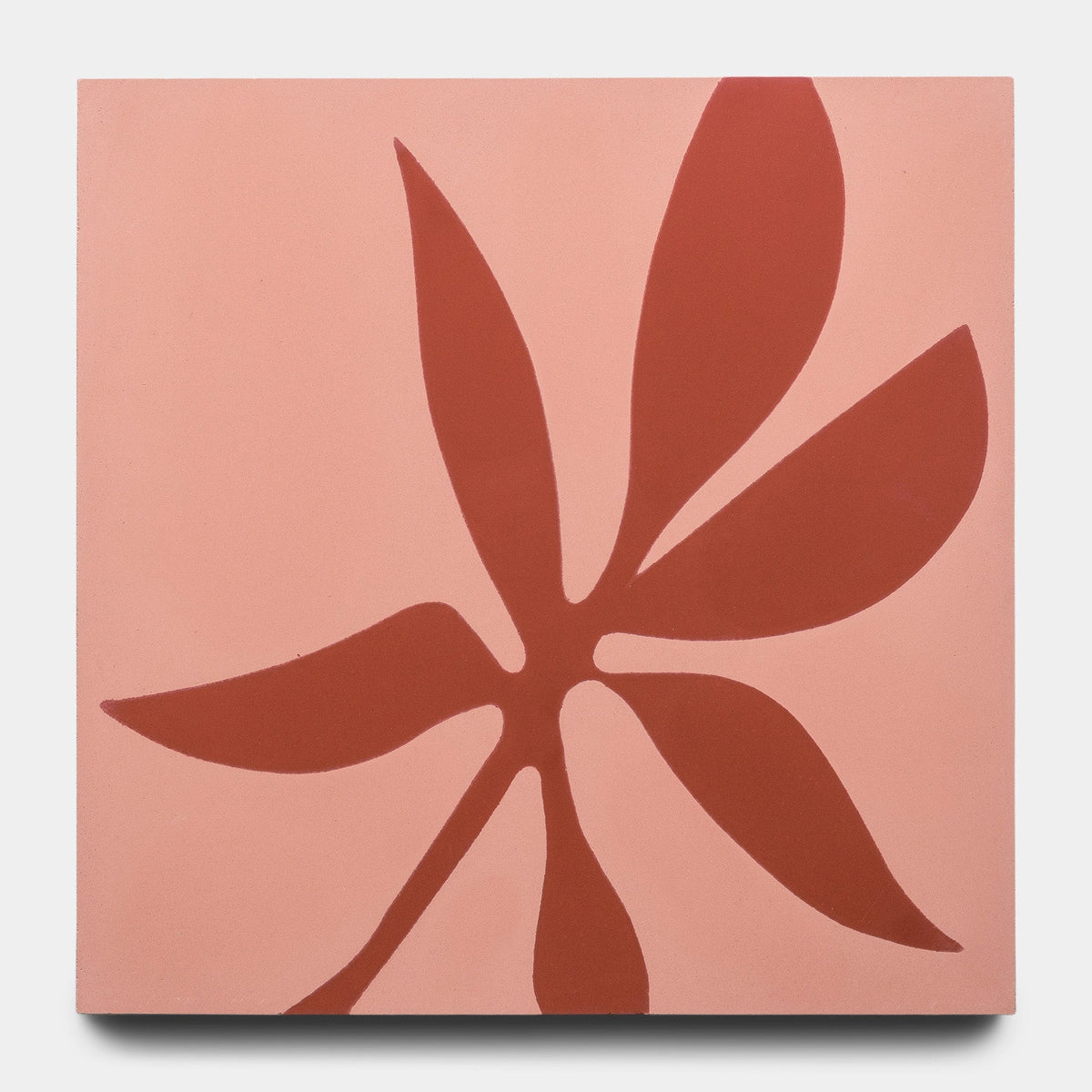 Flora 8x8 Set Sonora + Pompeii