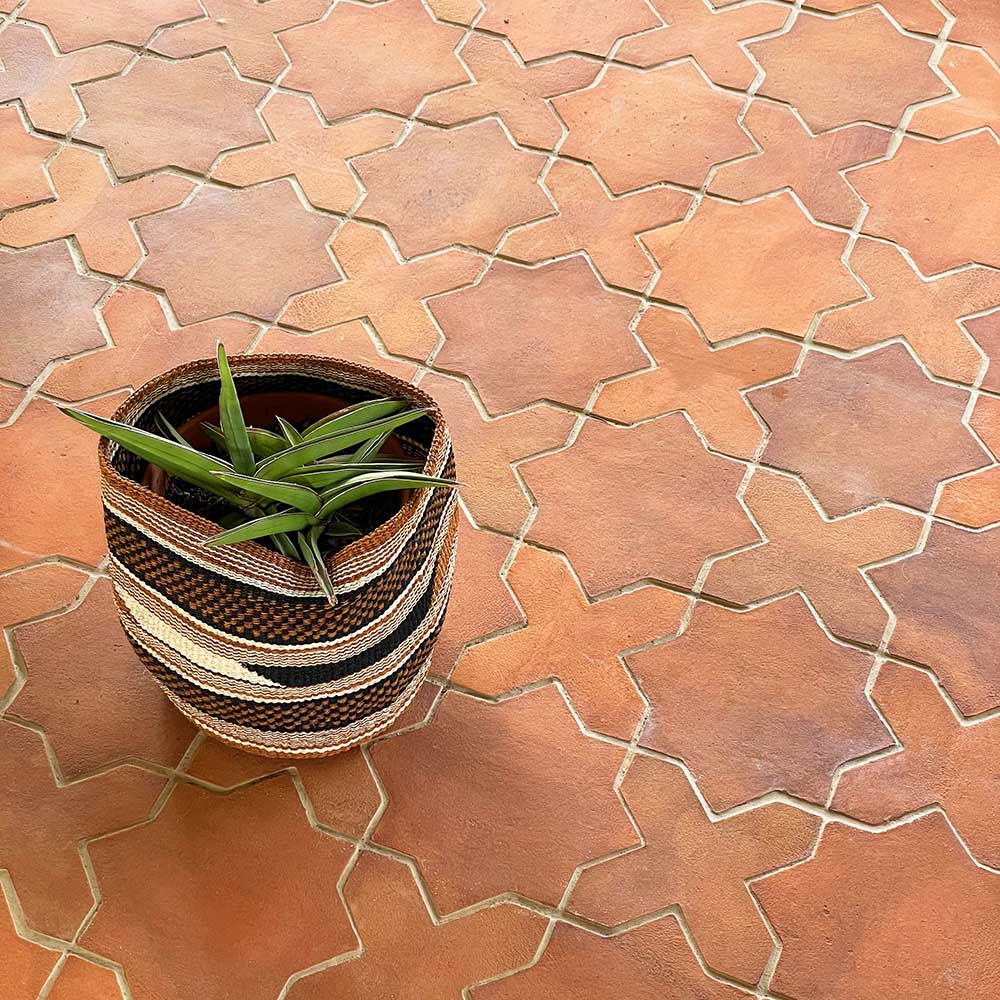 A small green plant in a woven basket rests on Zia Tile’s Stars & Cross + Red Clay (Just Stars) cement tiles. The grout highlights the Moroccan-inspired geometric patterns and the detailed, handmade beauty of these decorative tiles.