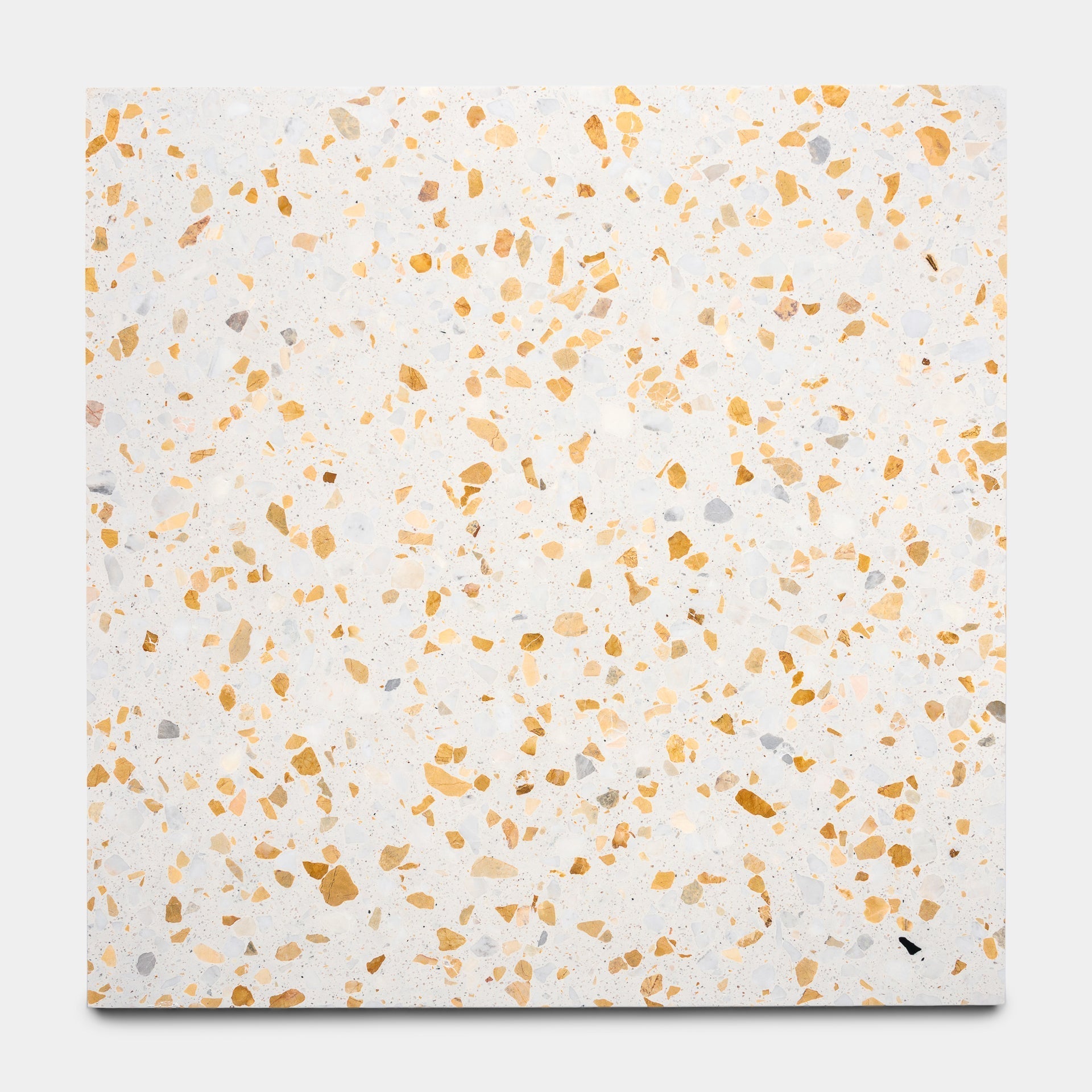 Tamarisk 24x24 Terrazzo