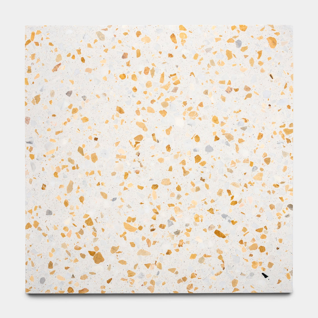 Tamarisk 24x24 Terrazzo