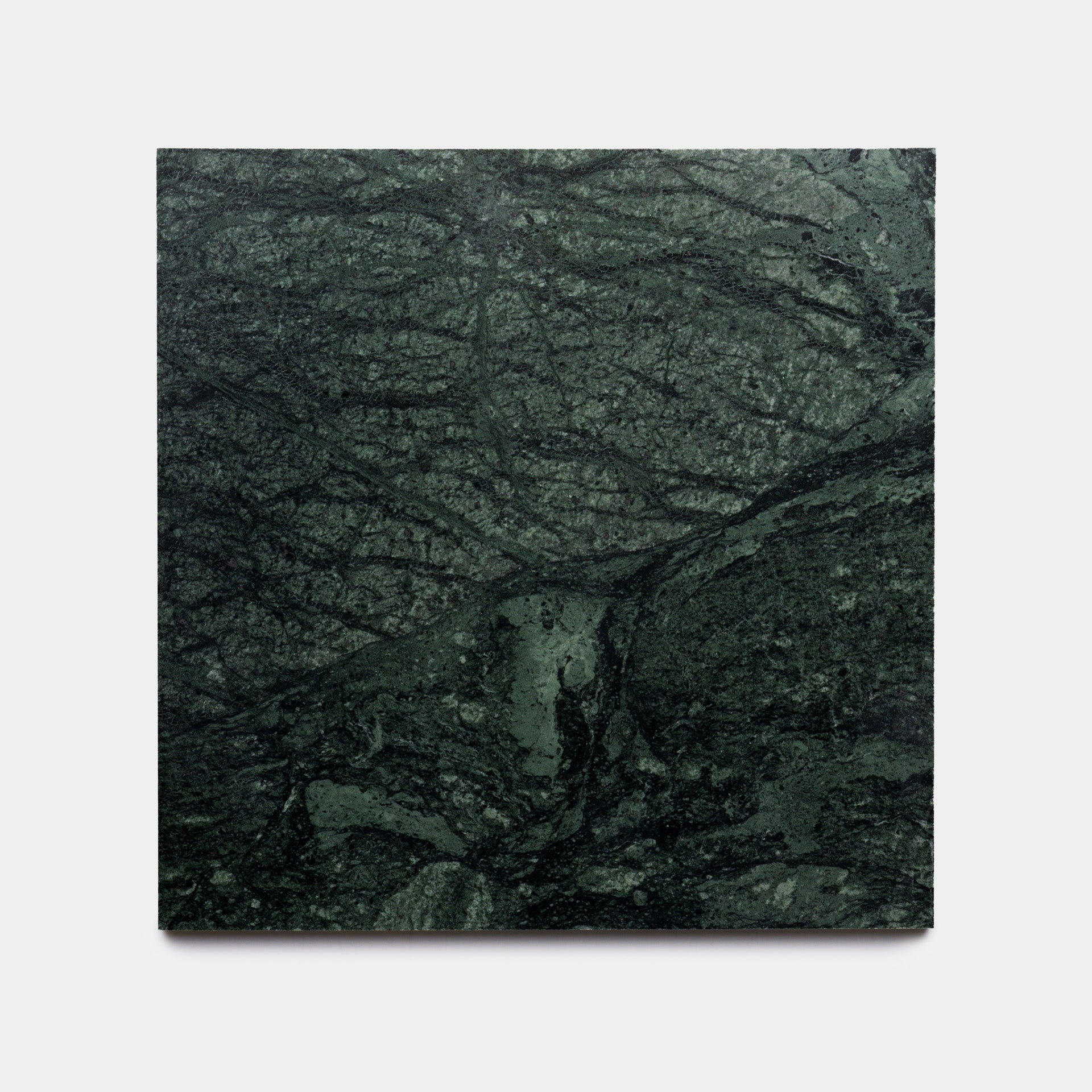 【極美品・定価8.15万円・g56】Cushion Green Marble Verde Alpi 12x12 – Zia Tile