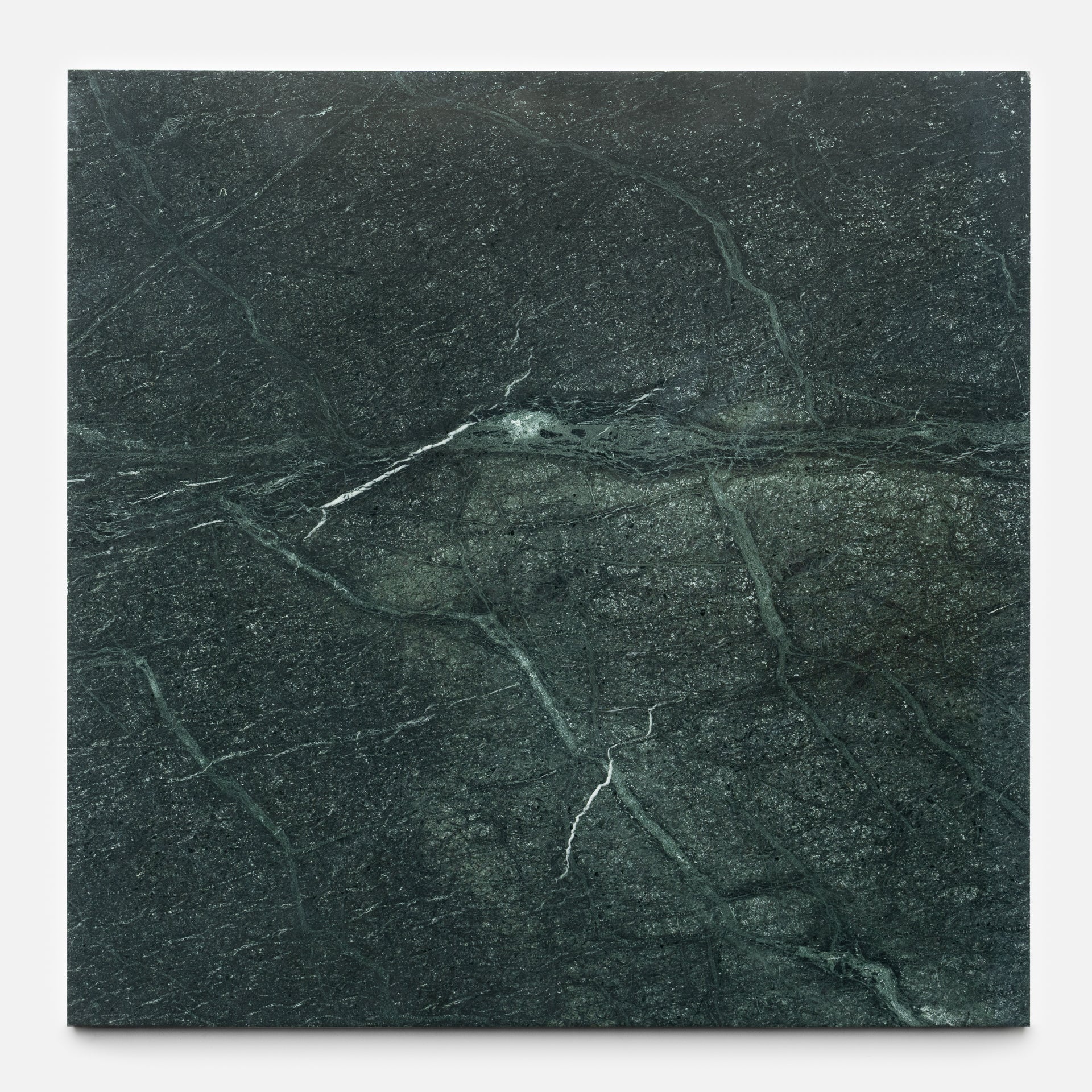 Verde Alpi 24x24 Marble