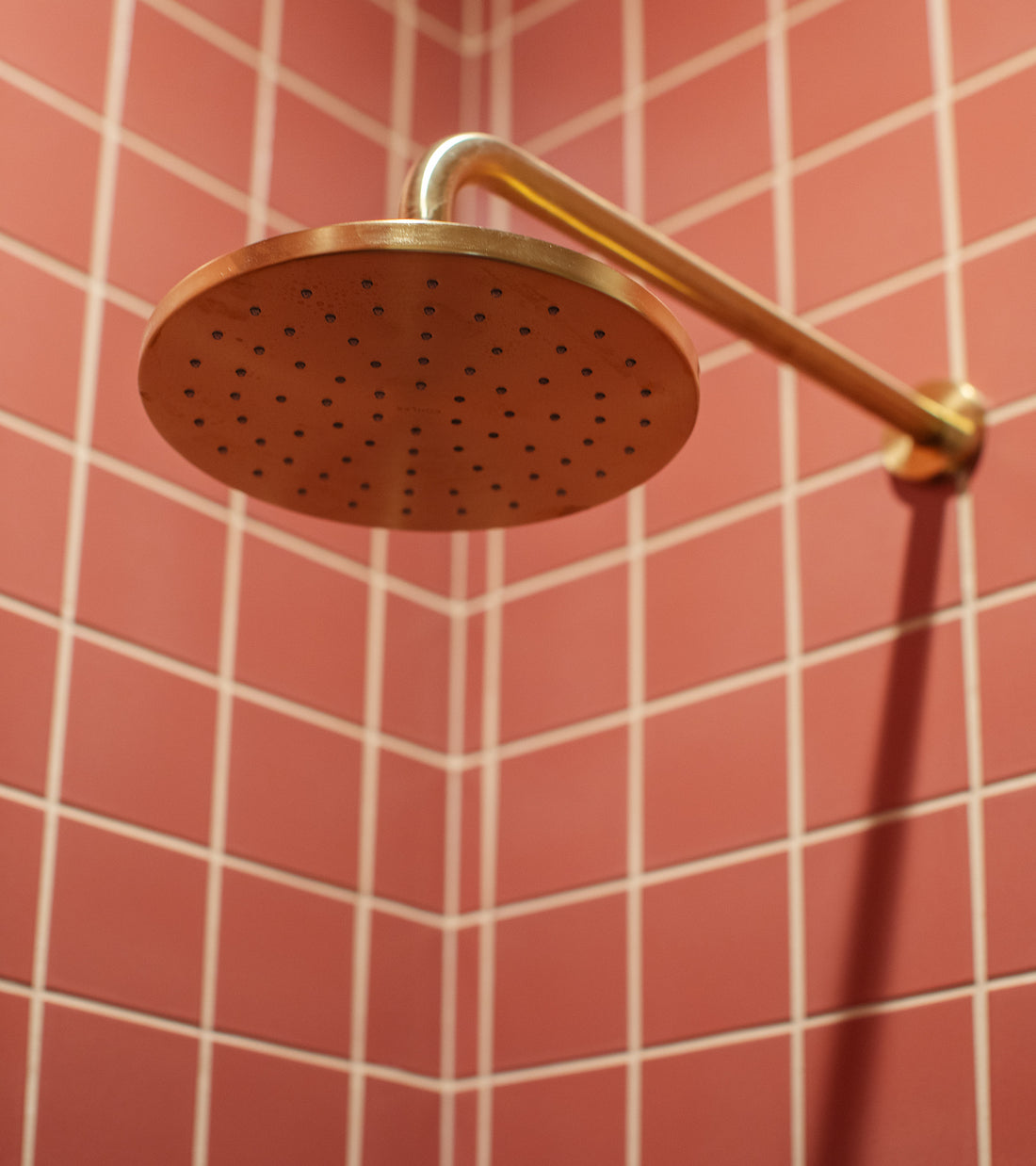 A round brass showerhead is mounted on a wall finished with Zia Tile’s Wild Fig 4x4 ceramic tiles, arranged in a matte pink grid and shown from a low angle.