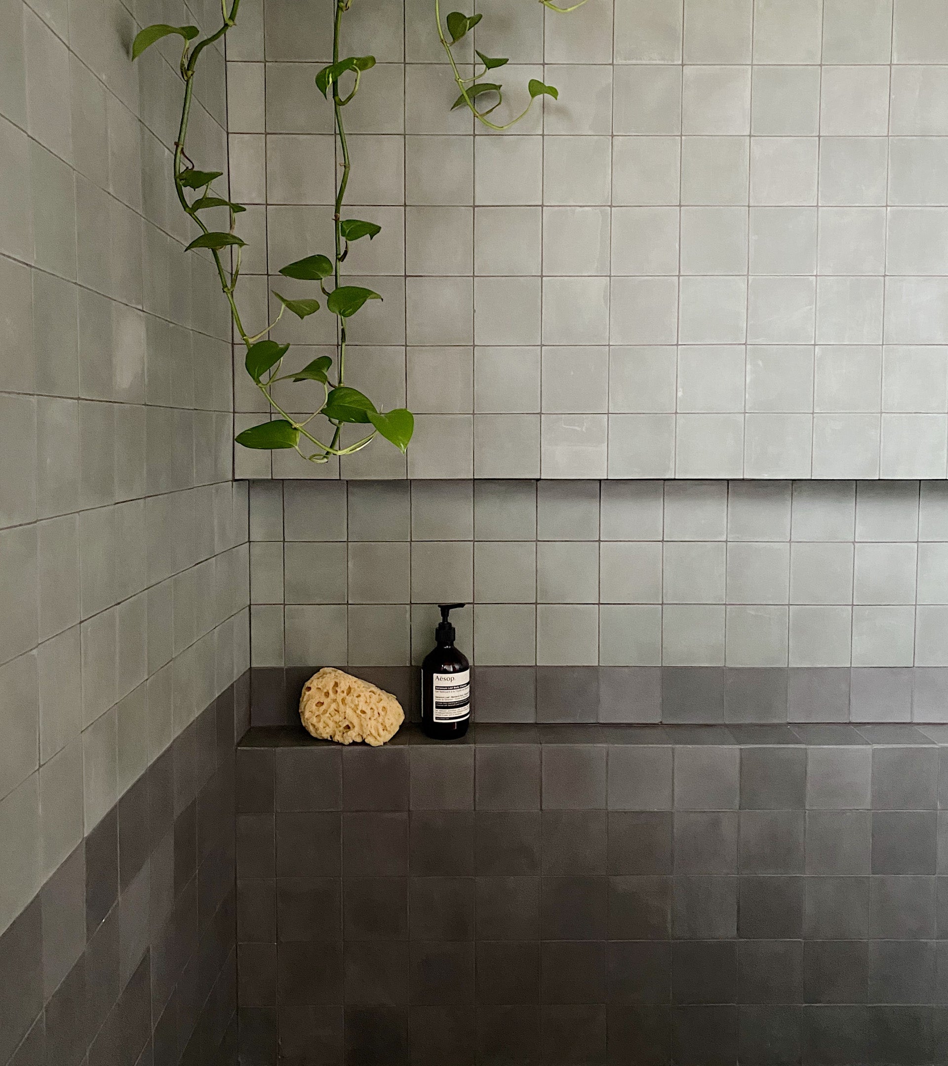 ひなホワイト　Msize Zinc 4x4 Square Cement Tile – Zia Tile