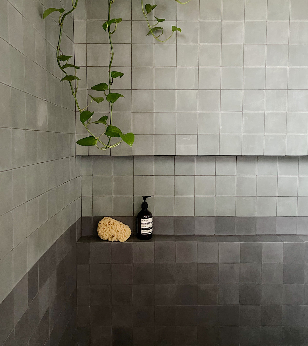 A minimalist shower features gray square tiles, vendor-unknown Zinc 4x4 cement tile flooring, a hanging green trailing plant, a natural sponge, and a black soap dispenser on the built-in shelf.