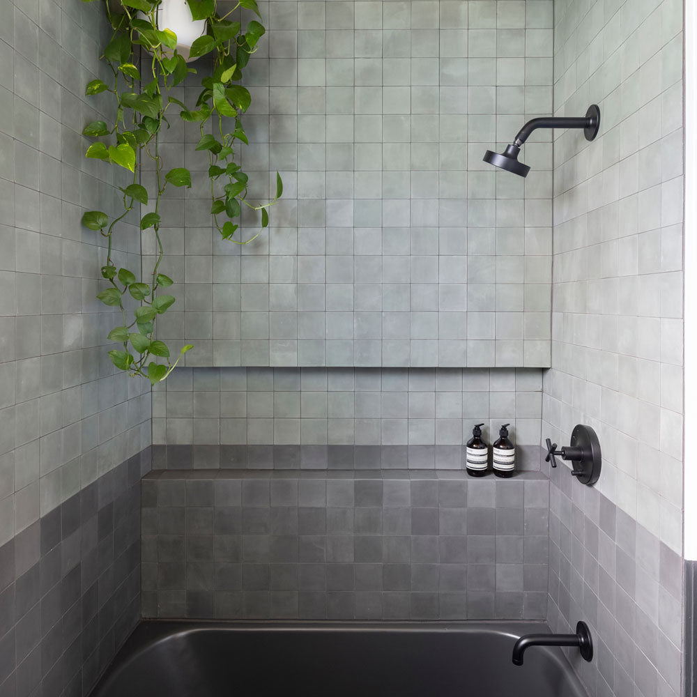 Modern shower with light and dark gray square tiles, matte black fixtures, two bottles on a recessed shelf, and a hanging green plant cascading from above.
