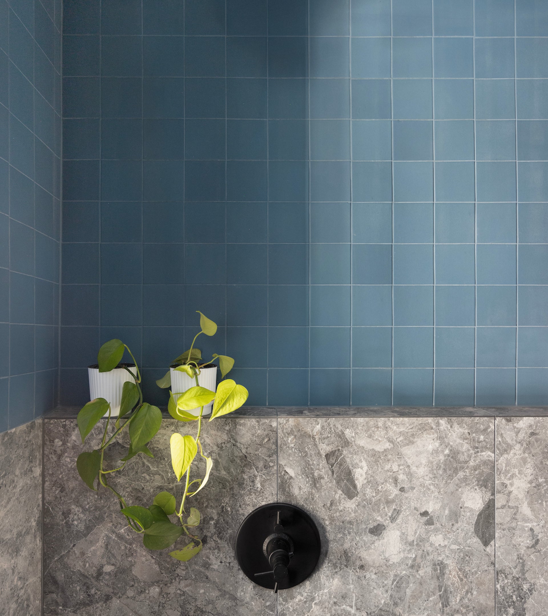 Iconic Blue 4x4 Square Ceramic Tile – Zia Tile