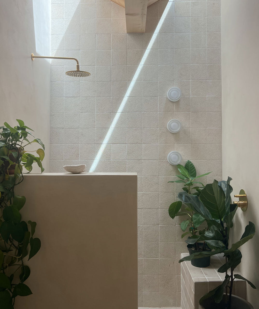 A minimalist shower with beige tiles, a gold showerhead, a sunlight beam shining in, and several potted green plants arranged around the space, creating a bright, serene, and natural atmosphere.