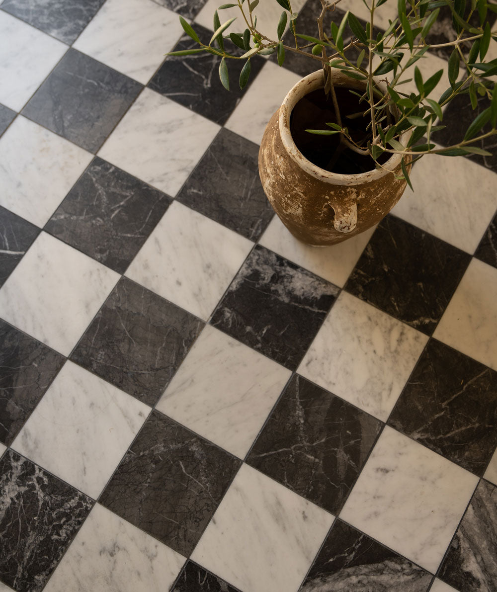 A potted plant sits on a black and white checkered marble tile floor, with the pot partially visible and green leaves extending outward.