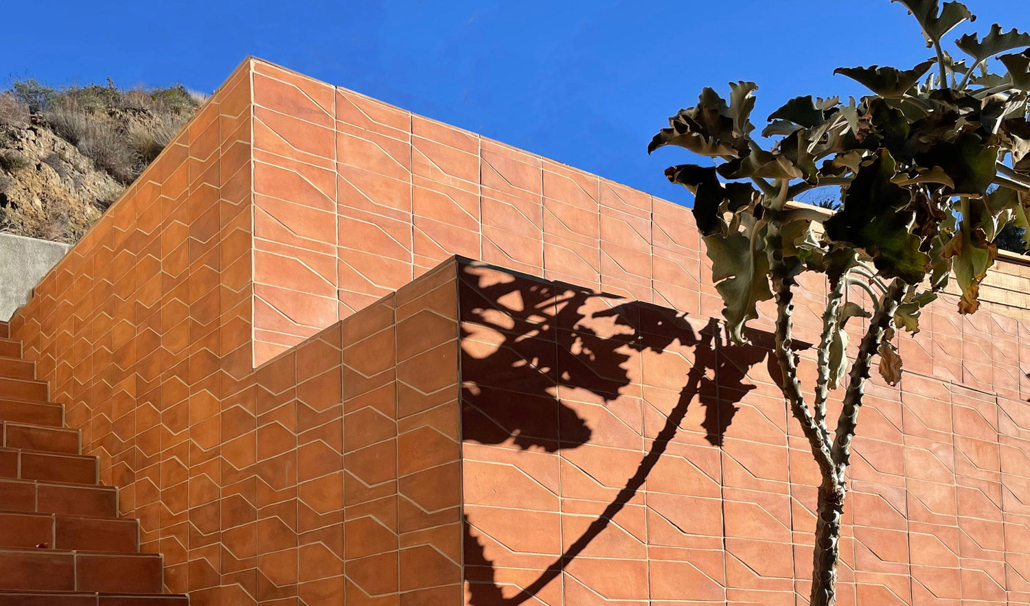 A sunlit, tiled staircase and wall with an orange geometric pattern cast sharp shadows. A leafy tree stands to the right, its silhouette also cast on the wall. The sky is clear and blue above the structure.
